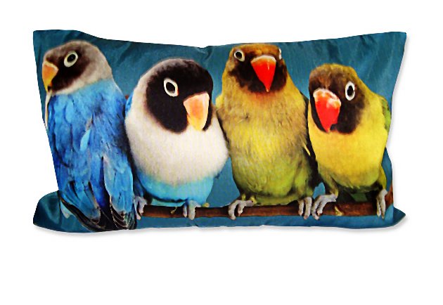 ?W dżungli? Kolekcja sezonowa